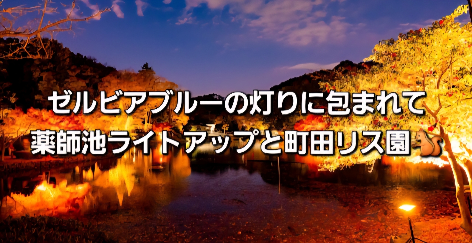 ゼルビアブルーの灯りに包まれて｜薬師池ライトアップと町田リス園🐿️