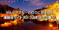 ゼルビアブルーの灯りに包まれて｜薬師池ライトアップと町田リス園🐿️