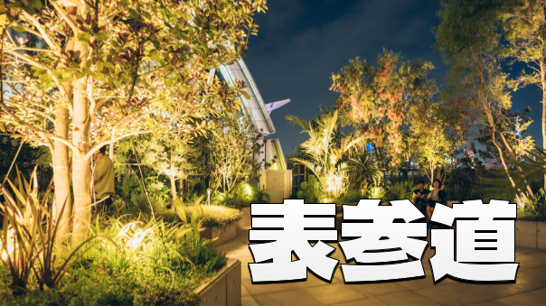 🌟割引あり🌟表参道のイルミネーション、ルイ･ヴィトンのギャラリーなどおしゃれな夜散歩を楽しみます♪