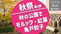 Hさん専用増枠【秋祭り 第２部】秋の公園でモルック・紅葉・亀戸餃子！