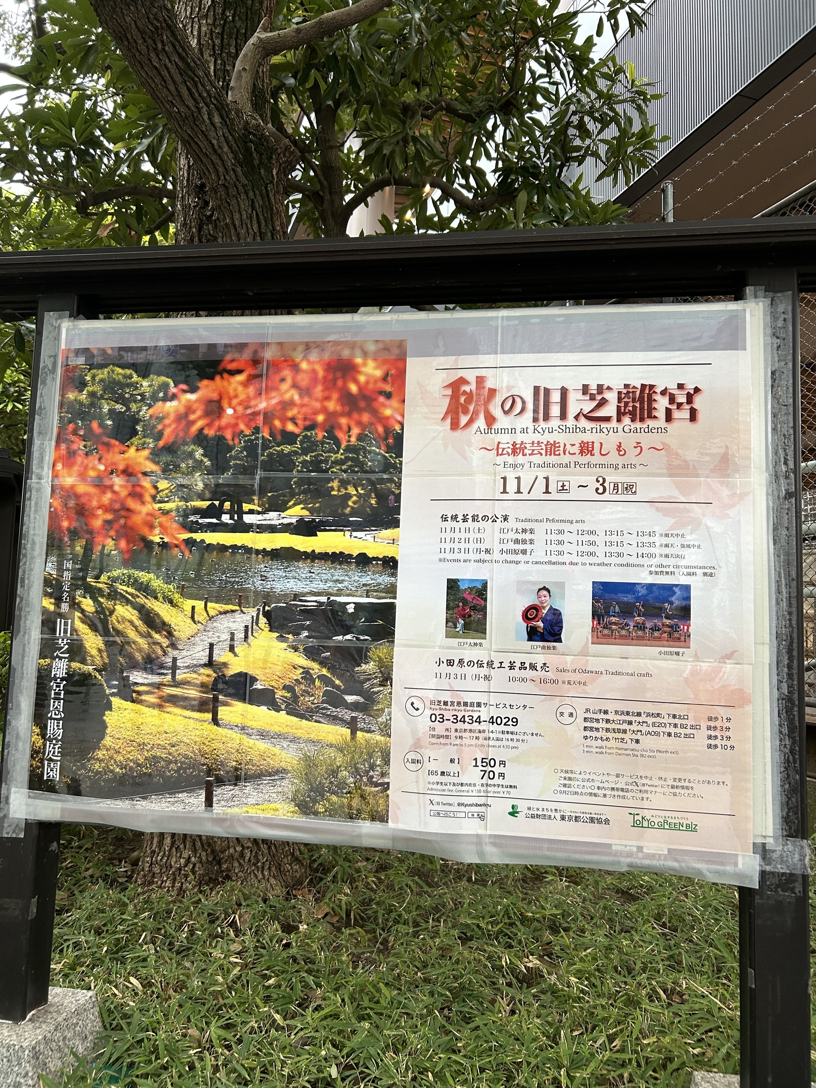 💐🌺秋の芝離宮庭園でカメラ📷を使って撮影をしよう