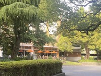 🚶🏻【日比谷公園】朝さんぽ と カフェトーク