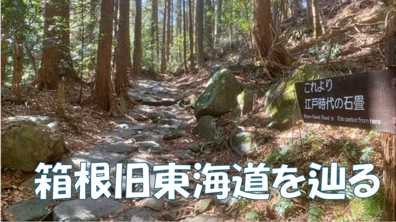 【箱根の旧東海道を歩く】「天下の険」と言われた旧東海道を辿ろう♪