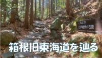 【箱根の旧東海道を歩く】「天下の険」と言われた旧東海道を辿ろう♪