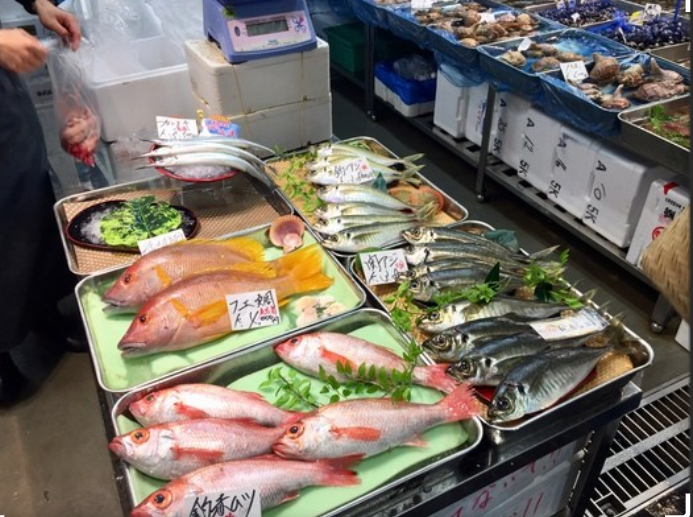 豊洲市場　仲卸フロアでお買い物＆お散歩