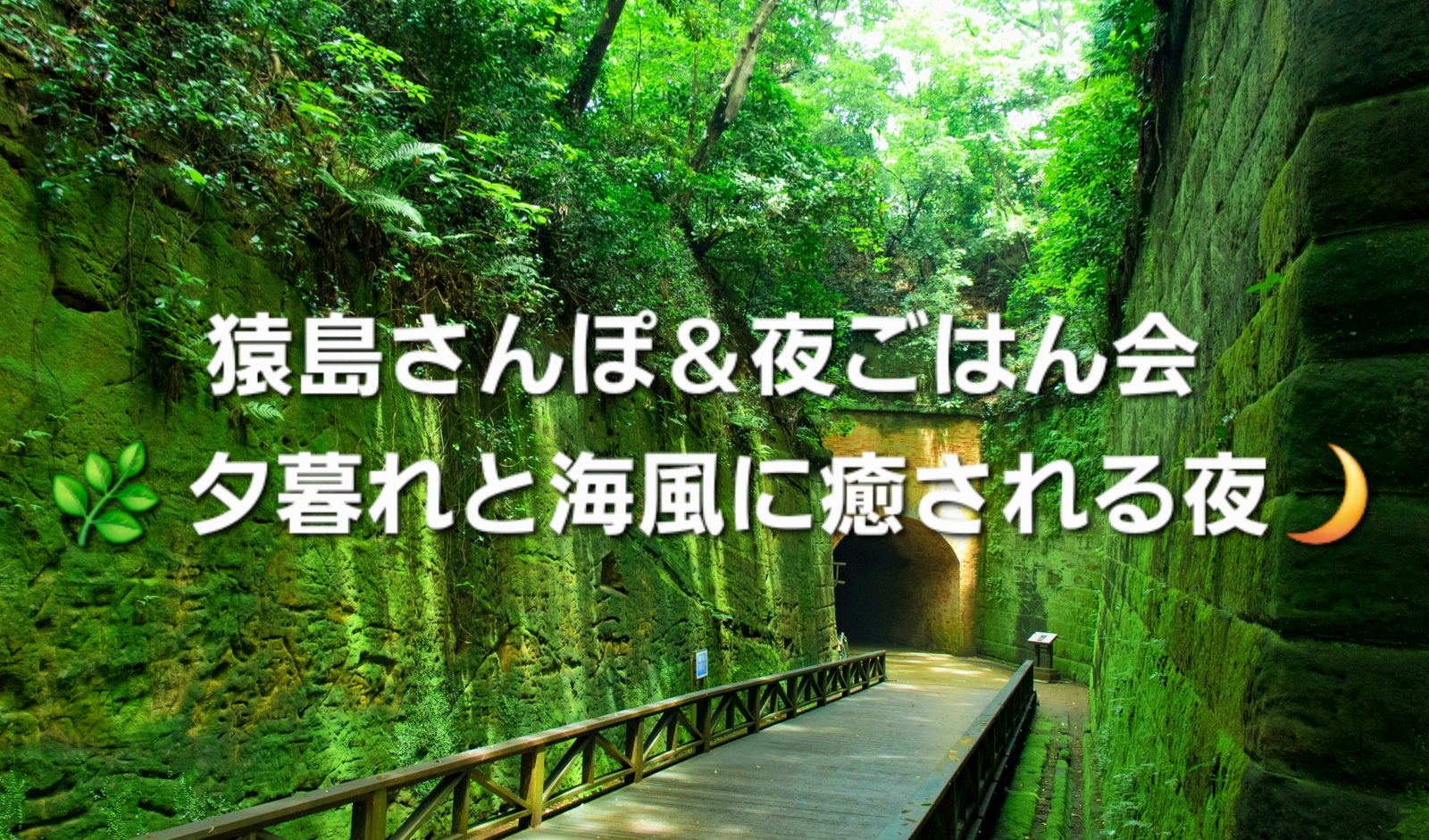 猿島さんぽ＆夜ごはん会 🌿 夕暮れと海風に癒される夜🌙