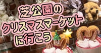 【女性主催】芝公園のクリスマスマーケット🎄🌟に行こう🎅
