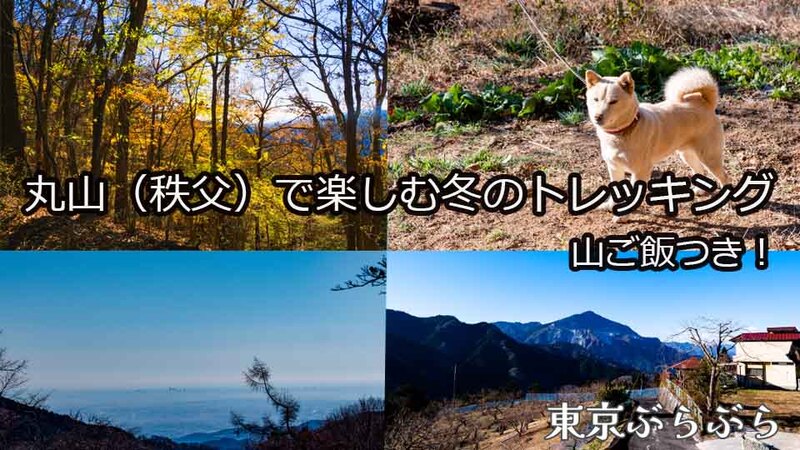 丸山（秩父）で楽しむ、ゆったり冬のトレッキング