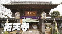 【年末詣】目黒区祐天寺の散策と徳川家ゆかりの祐天寺を訪れよう！