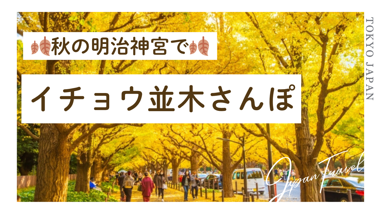【20代・ひとり参加歓迎】秋の明治神宮でイチョウ並木さんぽ🍂🍁✨