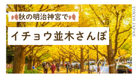 【20代・ひとり参加歓迎】秋の明治神宮でイチョウ並木さんぽ🍂🍁✨