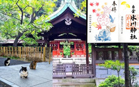 女性のみ1人募集！【猫御朱印を頂いて猫たちに会おう！】 11/8 14時　白金氷川神社【参拝後はカフェへ！】