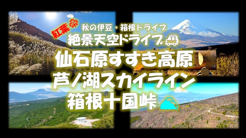 秋の紅葉絶景天空ドライブ🚙　仙石原すすき・芦ノ湖スカイライ・箱根十国峠
