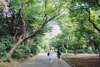 【朝活】🌲自然好き🌸ととのいさんぽ@新宿御苑