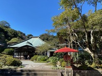 鎌倉駅スタート　秋の味覚　食べ歩き　紅葉が綺麗な季節　お散歩会 パワースポット巡り