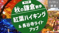 秋の鎌倉、紅葉ハイキング！【鎌倉をよく知る女性が案内する鎌倉企画２部】