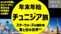 チュニジア企画（航空券購入者のみ）
