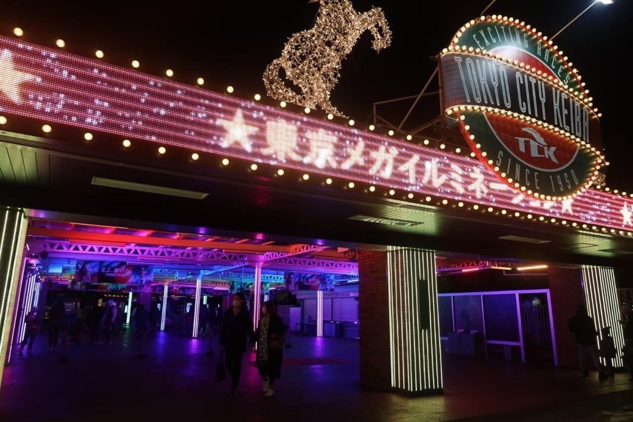 20代中心！1995年生れ以下限定✨️東京メガイルミに行こう!男女問わず