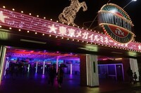 20代中心！1995年生れ以下限定✨️東京メガイルミに行こう!男女問わず