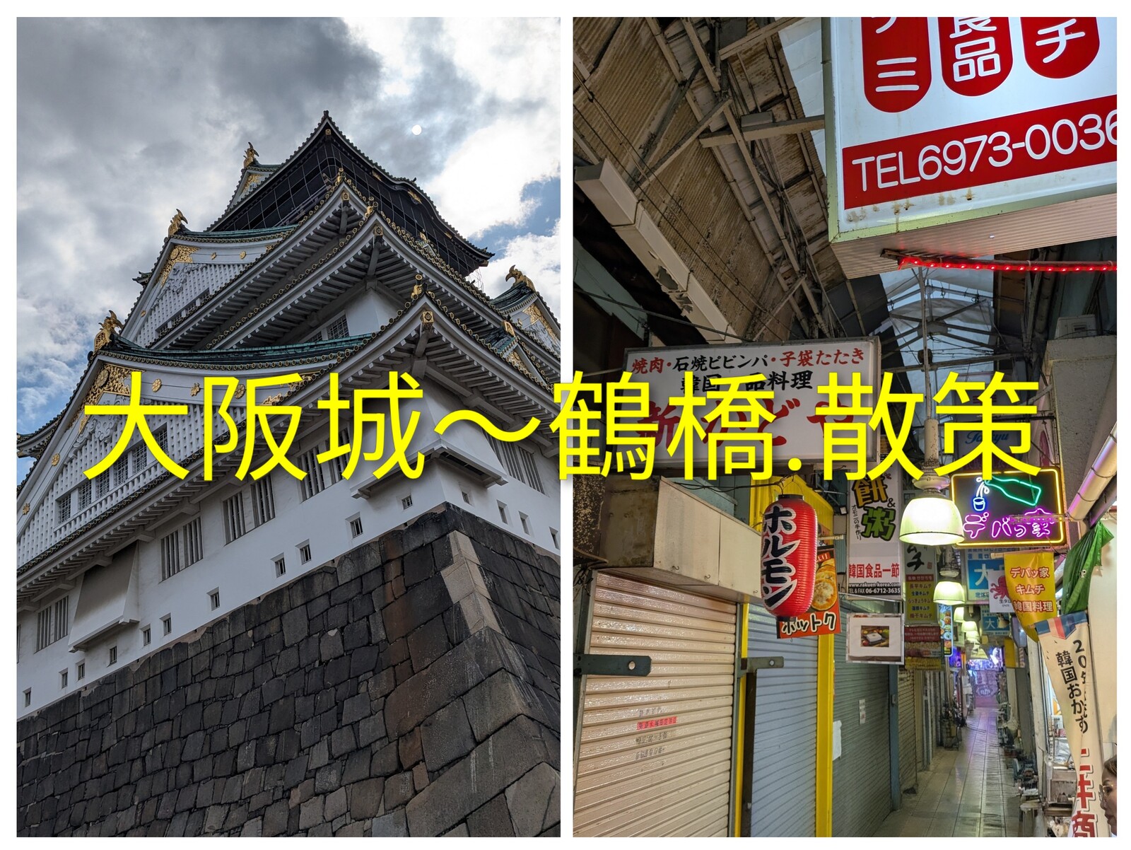 🏵️大阪城ゆるゆる散策ウォーキング