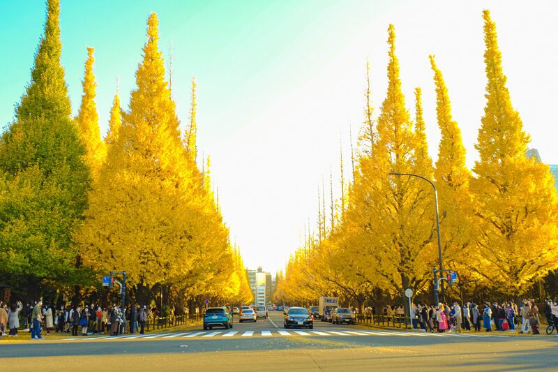 【30代中盤〜40代中心】明治神宮外苑散歩&ピザ食べ放題付きビストロランチ会