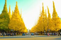 【30代中盤〜40代中心】明治神宮外苑散歩&ピザ食べ放題付きビストロランチ会