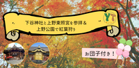 【40代以上向け】下谷神社と上野東照宮を参拝&上野公園で紅葉狩り<お団子付き>