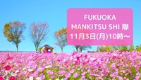 【11月3日(月)10時～】秋を感じるコスモス会🌸🌸🌸