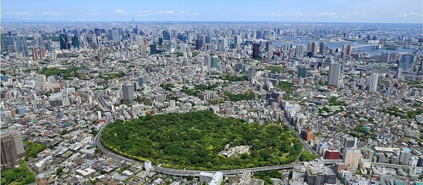 👩女性限定【12/7(日)・国立科学博物館附属自然教育園】🌿1時間だけの朝活！冬の癒し散策会でリフレッシュ✨