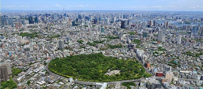 👩女性限定【12/7(日)・国立科学博物館附属自然教育園】🌿1時間だけの朝活！冬の癒し散策会でリフレッシュ✨