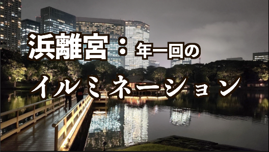 11/4（火）イルミネーション：浜離宮（期間限定夜間ライトアップ）