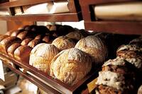 【20代30代限定】広尾パン屋巡りしよう😽😽