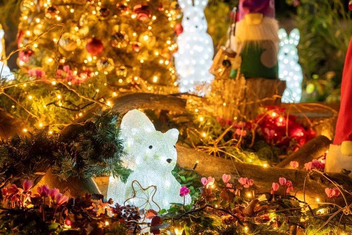 【20代30代限定】ガーデンイルミネーションを見に行こう🍎🍎