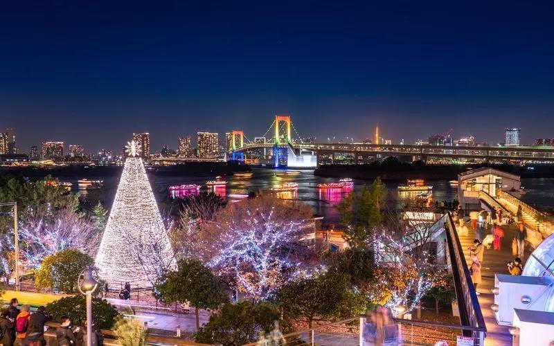 【20代30代限定】お台場のイルミネーションを見に行こう🌺🌺