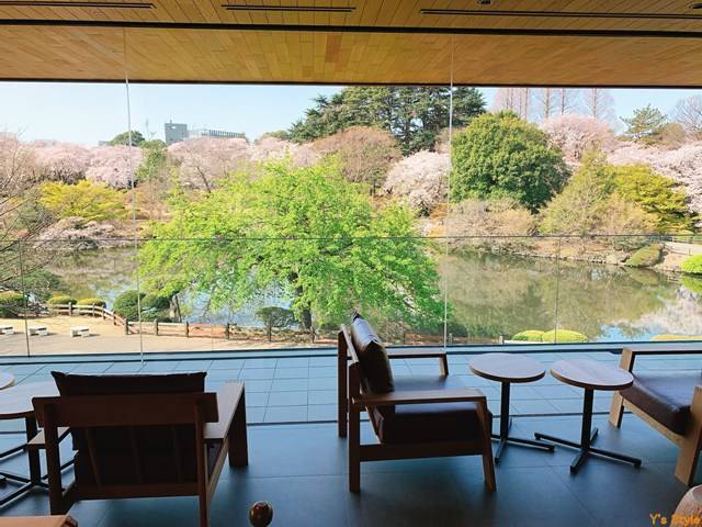 【早割中】自然豊かな庭園のカフェに行こう🦊🦊