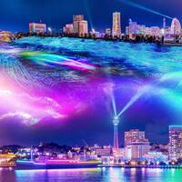 【20代30代限定】横浜の大人気イルミネーションを見に行こう😺😺