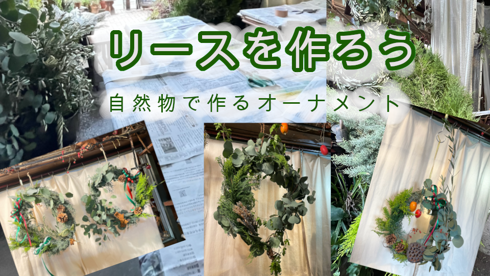 本物の植物で『 リース 』を作ろう