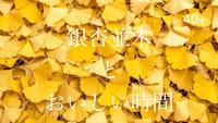 40‘plus 銀杏並木を眺めて、心もおなかも満たされる秋の夜
