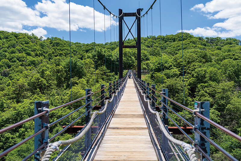 【12月13日(土)】大阪最大の吊り橋！！星のブランコハイキング