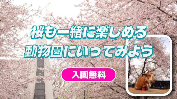 花見と動物を同時に楽しめる無料動物園「夢見ヶ崎動物公園」に行ってみよう