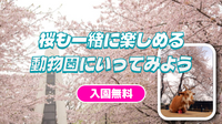 花見と動物を同時に楽しめる無料動物園「夢見ヶ崎動物公園」に行ってみよう