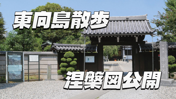 【涅槃図公開】晴河山法泉寺と東向島をぶらぶらしてみよう！