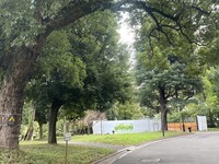 🚶🏻【日比谷公園】朝さんぽ と カフェトーク