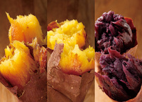 【🔰女性主催】やきいもフェスTOKYO2025に参加しよう