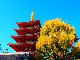 【30代40代】浅草紅葉散策と世界カバン博物館（無料）