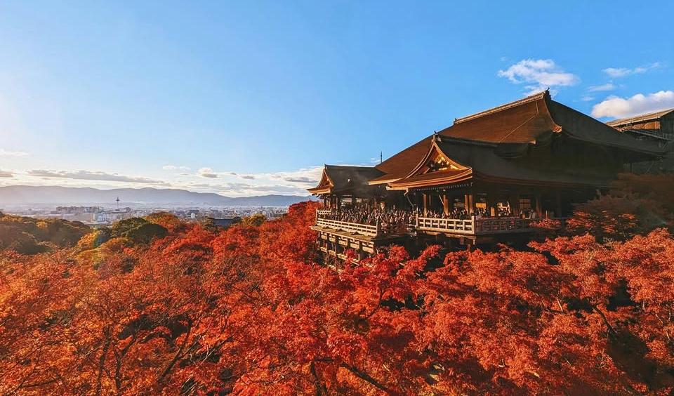 【京都紅葉お散歩ツアー】紅葉＆名物あぶり餅食べ歩きお散歩ツアー