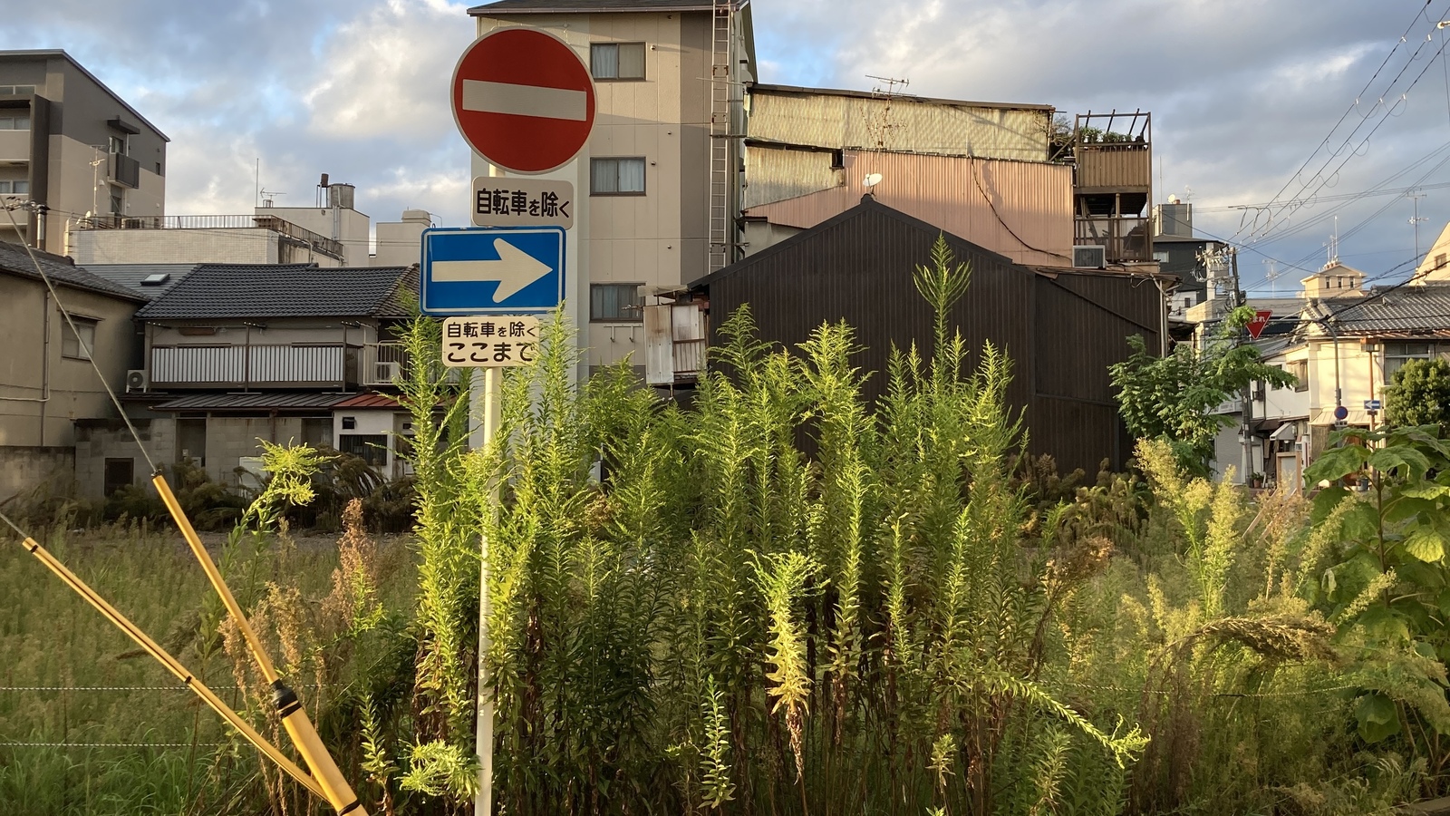 【ローカル撮影散歩 】11/8(土）14:00~18:30 @野江内代 駅周辺