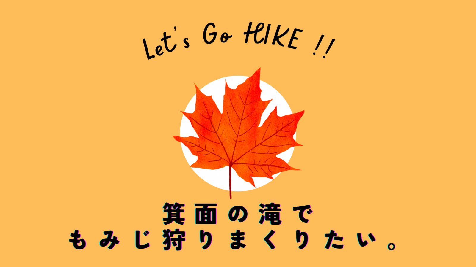 箕面の滝で、紅葉狩り放題🍁始めました。