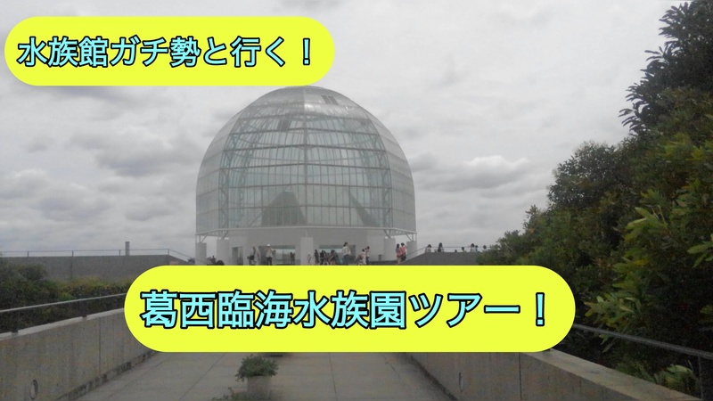 水族館ガチ勢と行く葛西臨海水族園ツアー！