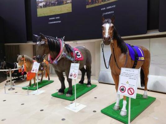 【男女共催】府中のJRA競馬博物館に行ってみよう🎠